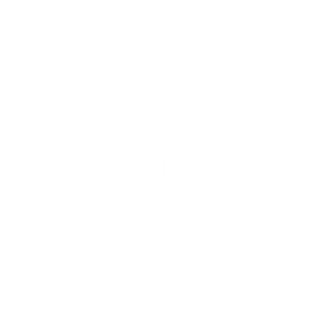 fincom-logo-bianco