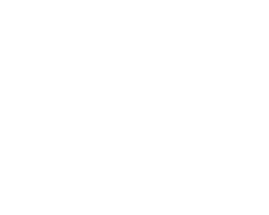 logo-Vanni_bianco_Tavola-disegno-1.png